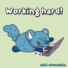 a cartoon of a chinchilla using a laptop with the words working hard chill chinchilla