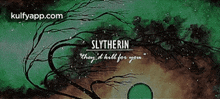 Slytherinthey. D Hill For You.Gif GIF - Slytherinthey. D Hill For You Nature Outdoors GIFs