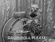 Drums Dogplayingsnaredrum GIF