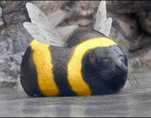a seal that has been painted like a bee with white wings