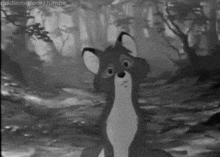 a black and white photo of a fox in the woods looking up .