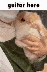 a person is holding a small brown and white rabbit with the words guitar hero written above it
