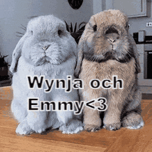 Emmy Wynja GIF - Emmy Wynja GIFs