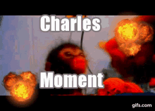 Charles Moment Monkey GIF - Charles Moment Charles Monkey GIFs