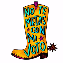 no te metas con mi voto voto dont mess with my vote dont mess with texas texas