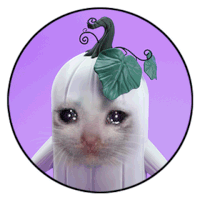 a white pumpkin with a green leaf on it 's head