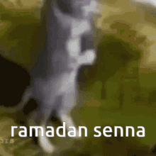 Ramadan Senna GIF - Ramadan Senna GIFs