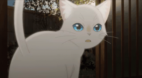 A Whisker Away Cat GIF - A Whisker Away Cat Anime Cat - Discover & Share  GIFs