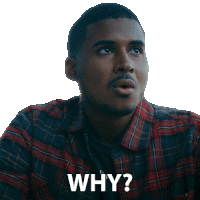 a man in a plaid shirt asks why