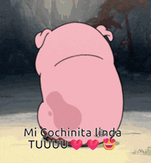 a picture of a pig with the words mi cochinita linda tuuu on it
