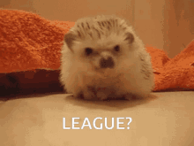 League Of Legends League GIF - League Of Legends League Hedgehog GIFs
