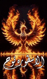 a drawing of a phoenix with arabic writing on it