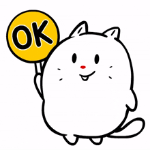 cat cute