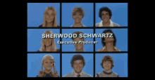 brady bunch sherwood shwartz executive producer credits