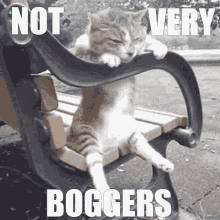 Notboggers GIF - Notboggers GIFs