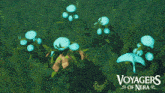 a video game called voyagers of nera is being played on a computer