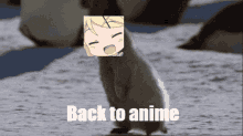 back anime back to anime anime back penguin