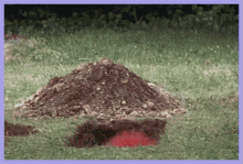 Pennywise Stephen King GIF - Pennywise Stephen King Scary GIFs