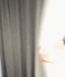 a person is standing in front of a window with a gray curtain behind them
