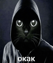 a black cat wearing a hooded jacket with the word okak on the bottom