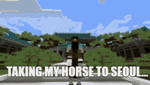 Taking Horse To Seoul Minecraft Minecraftplayer GIF - Taking Horse To Seoul Minecraft Minecraftplayer Seoul Horse Ride GIFs