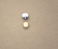 a sheep 's head and a sheep 's face are on a table