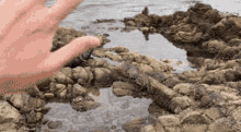 a person 's hand is reaching out towards a rocky area near the water