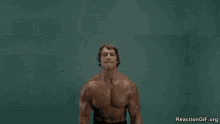 a shirtless arnold schwarzenegger is holding two cats