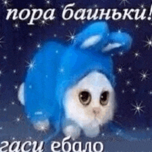a cat wearing a blue bunny hat is sitting on a blue background .