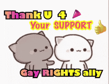 two cartoon cats standing next to each other with the words " thank u 4 your support gay rights ally "