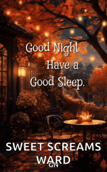 a poster that says good night have a good sleep sweet screams ward on it