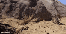 Pop Up Out Of Ground Worm GIF - Pop Up Out Of Ground Worm Monster GIFs