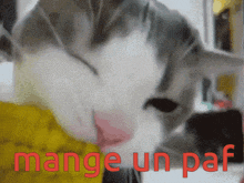 a close up of a cat with the words mange un par in red letters