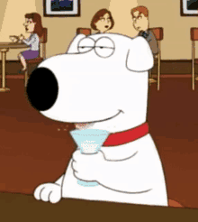 Family Guy Brian GIF - Family Guy Brian Drunk GIFs