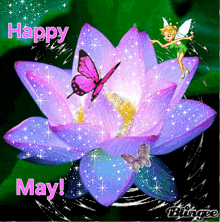 a purple flower with a pink butterfly on it and the words happy may