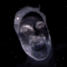 Space Oh GIF - Space Oh Yeah GIFs