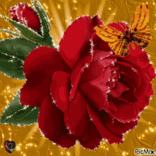 Flower Red GIF - Flower Red Rose GIFs