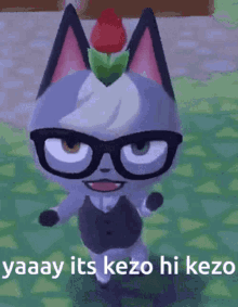 Kezo Yay Its Kezo GIF - Kezo Yay Its Kezo Yay Kezo GIFs
