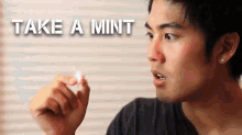 ryan higa nigahiga youtube take a mint mint
