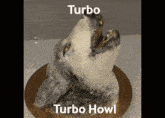Turbohowl Turbo GIF - Turbohowl Turbo Howl GIFs