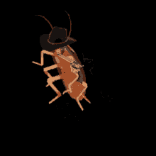 Cucaracha GIF - Cucaracha GIFs