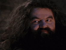 Wizard Harry Potter GIF - Wizard Harry Potter Empty Template GIFs
