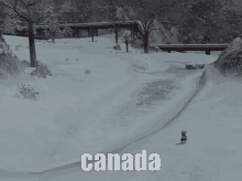 Canada Ffxiv GIF - Canada Ffxiv Lalafell GIFs