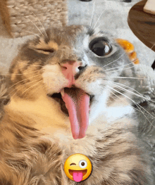 a cat sticking its tongue out next to a smiling emoji