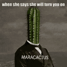 Cactus Maracactus GIF - Cactus Maracactus When She Says She Will Turn You On GIFs