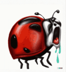 Lustbug Ladybug GIF - Lustbug Ladybug Hyper Ventilating GIFs