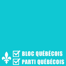 Québec Quebec GIF - Québec Quebec Vote GIFs
