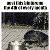 a dog laying next to a bowl of food with the words post this binturong the 4th of every month above it