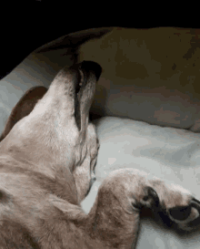 Bed Time Goodnight GIF - Bed Time Goodnight Sweet Dreams GIFs