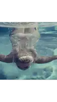 a woman is swimming underwater in a pool and her head is above the water